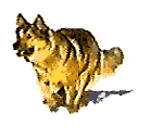 cd391b22175a.gif